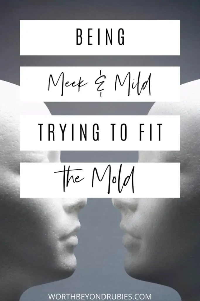 An image of two mannequins facing eachother against a gray backdrop and text that says Meek and Mild - Trying to Fit the Mold