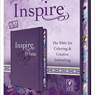 Purple Inspire NLT Journaling Bible