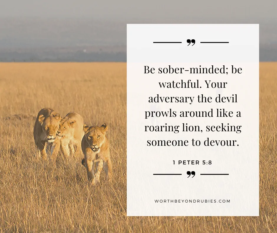 An image of lionesses prowling with 1 Peter 5:8 quoted