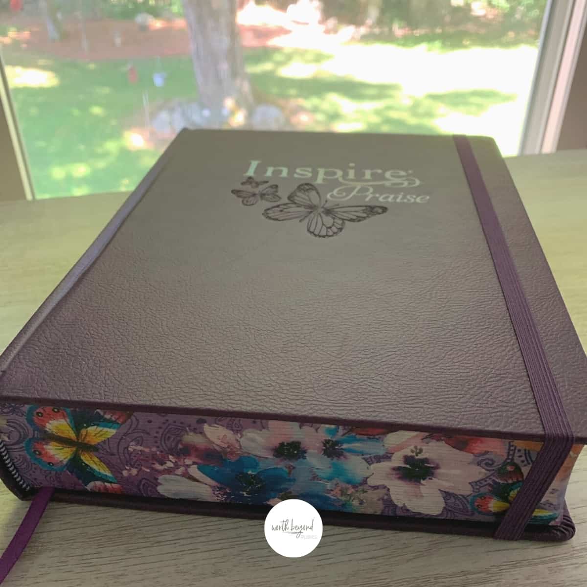 Bible Review of the New Inspire Journaling Bible