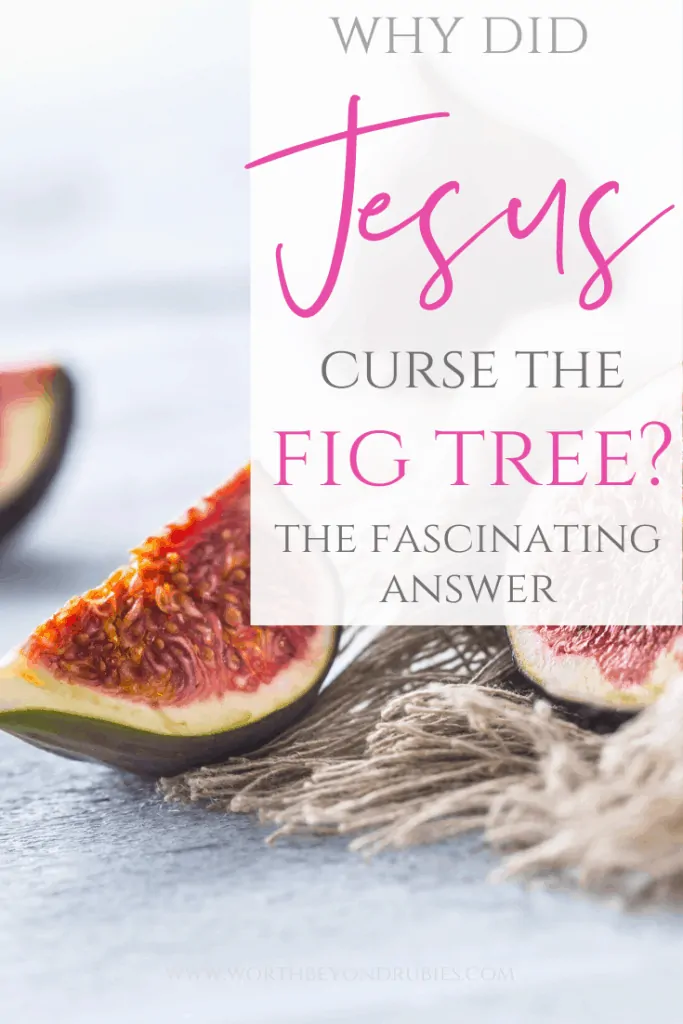 Why Did Jesus Curse the Fig Tree? - Figs on a wooden table