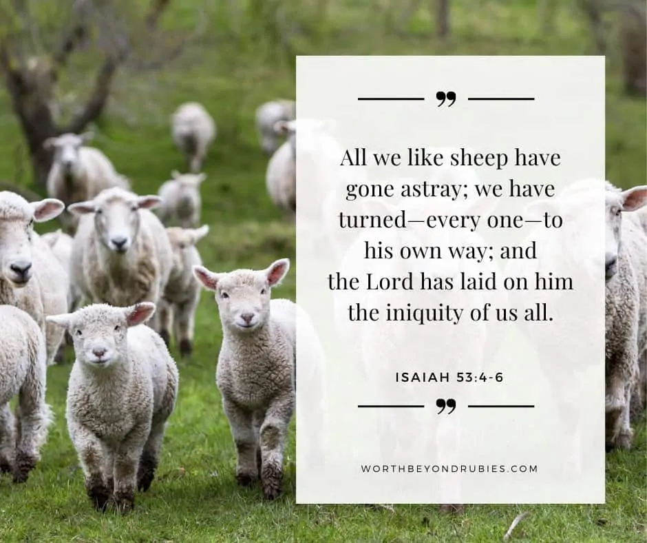 Old Testament vs New Testament - An image of sheep in a field