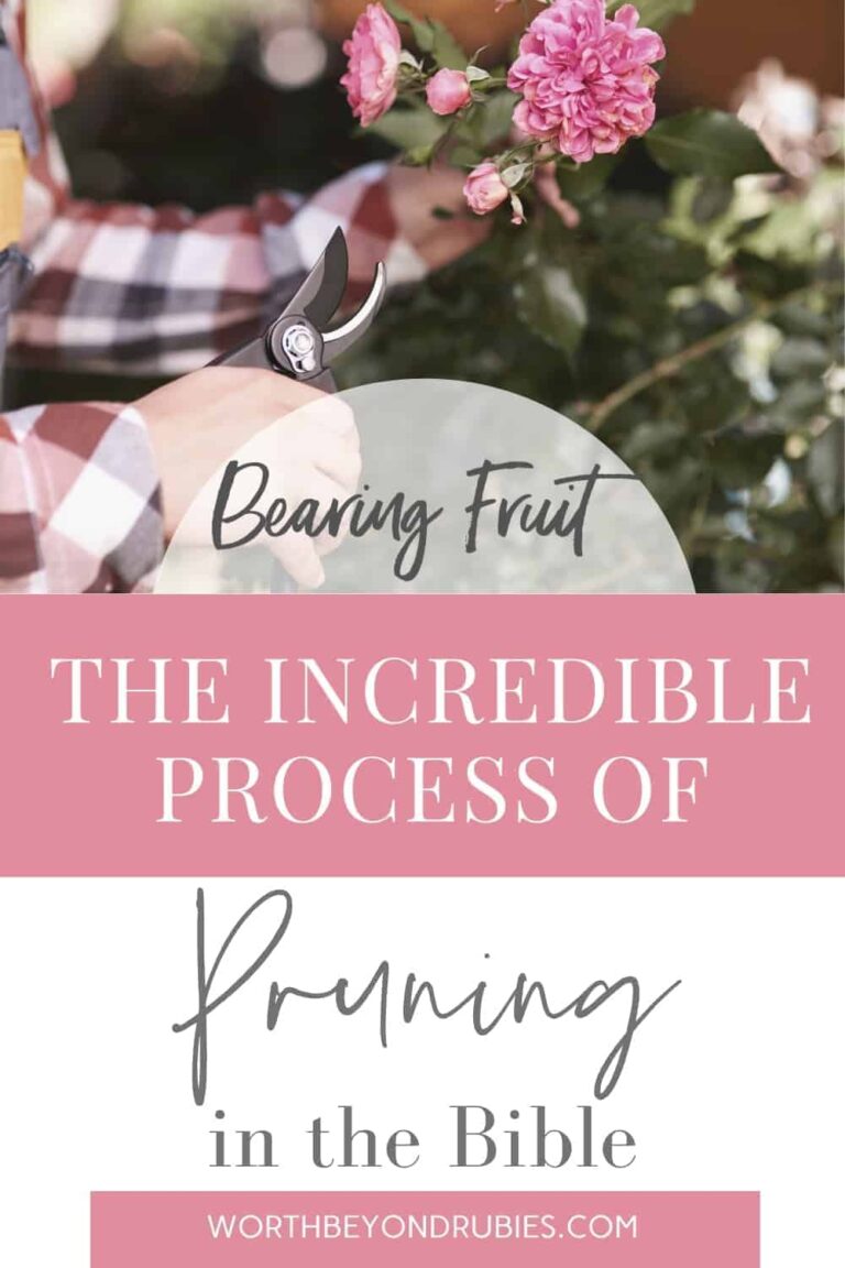 Bearing Fruit As A Christian - Pruning In The Bible