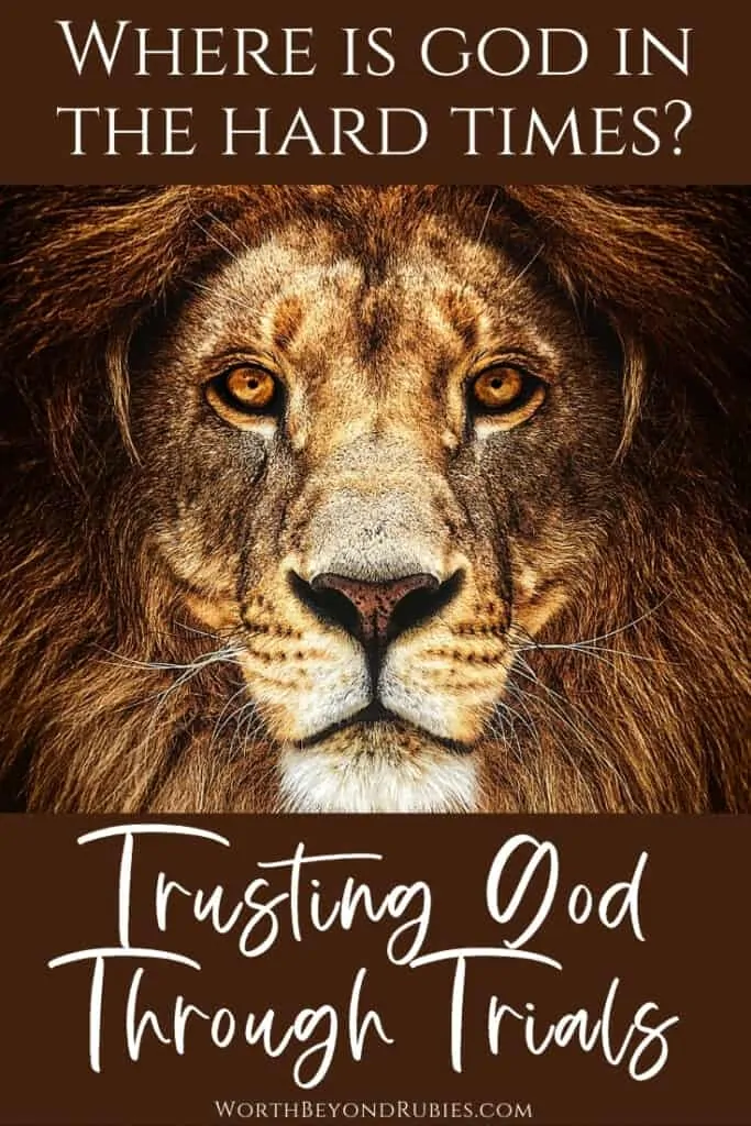 An image of a male lion's face looking directly into the camera and text around it that says Where is God in the Hard Times? - Trusting God Through Trials