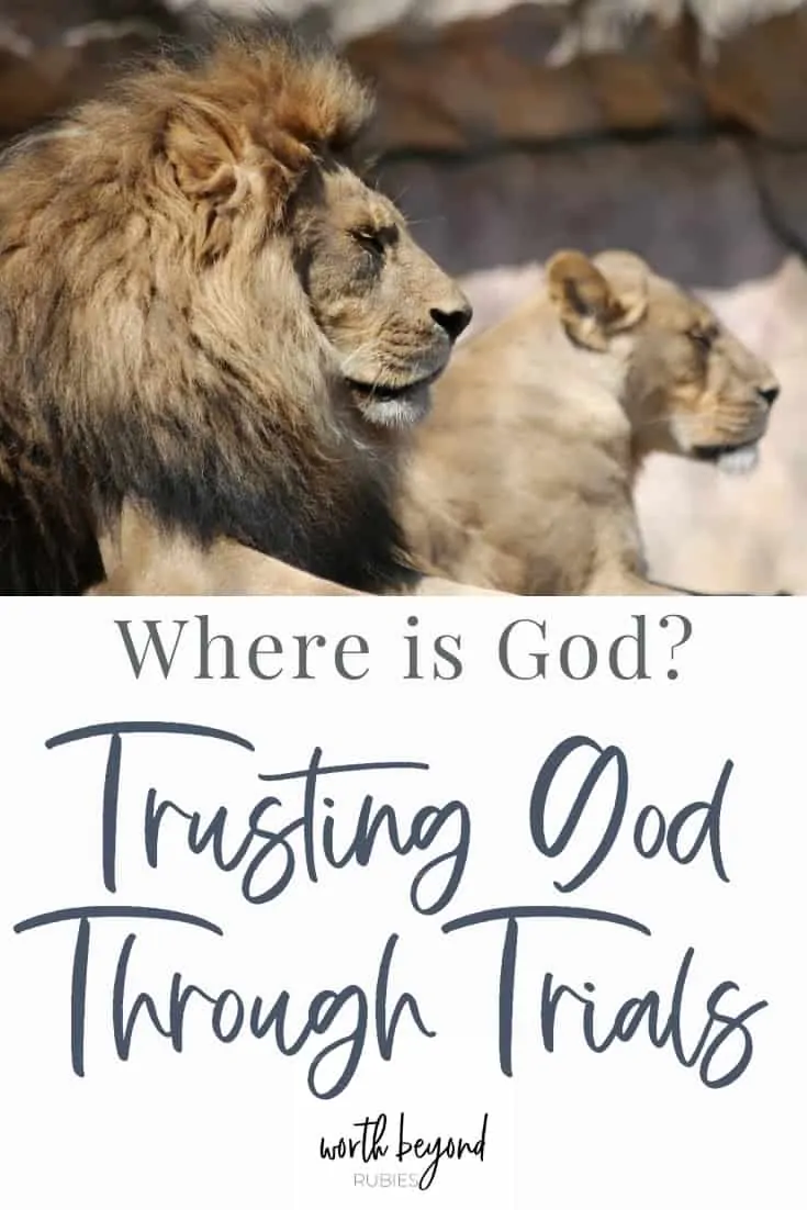 an image of a male and female lion looking off to the side and text that says Where is God? - Trusting God Through Trials