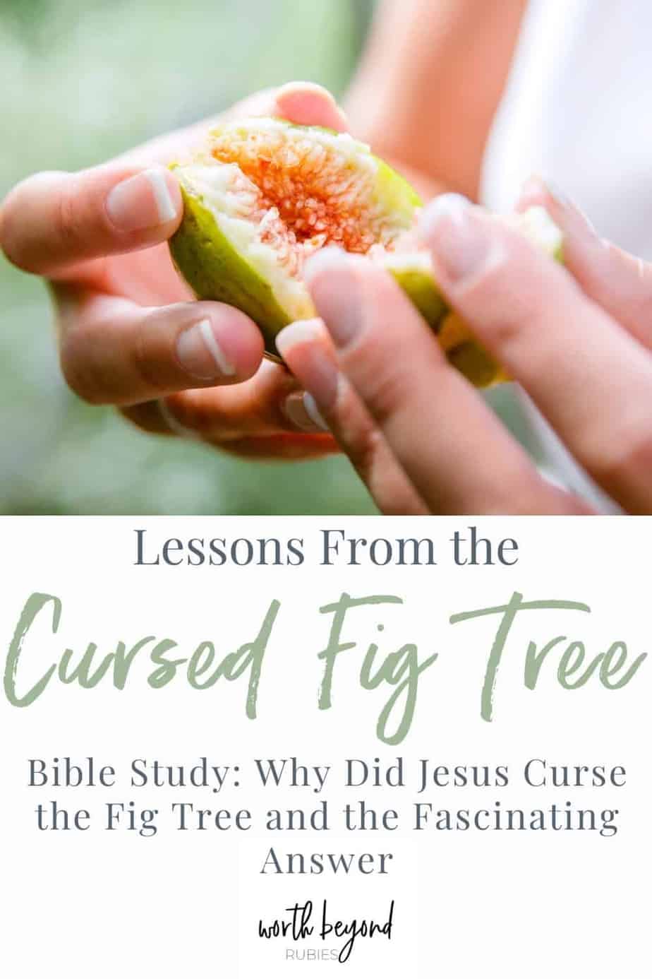 Scripture a tree is known by the fruit it bears