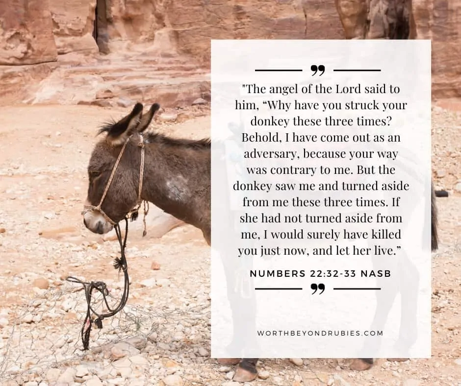 An image of a donkey and Numbers 22:32-33 quoted