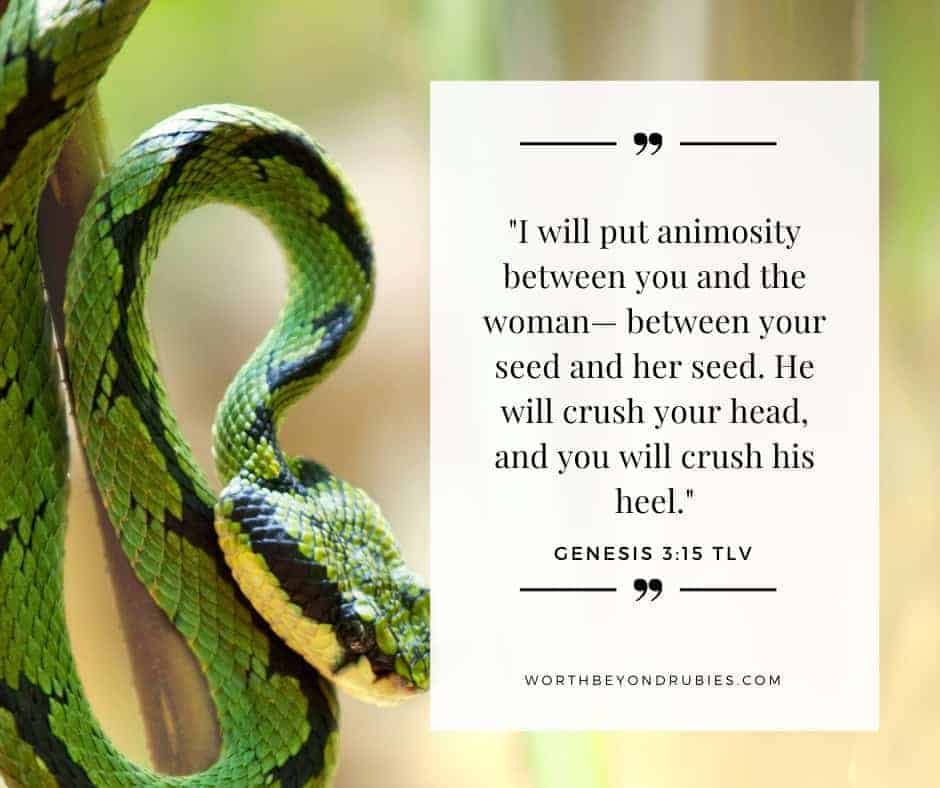 An image of a green snake on a tree and Genesis 3:15 quoted from the Tree of Life version