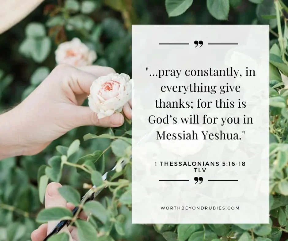An image of a woman's hand holding a pink rose and 1 Thessalonians 5:16-18 quoted on an overlay from the Tree of Life version - Why You Should Not Pray for Happiness