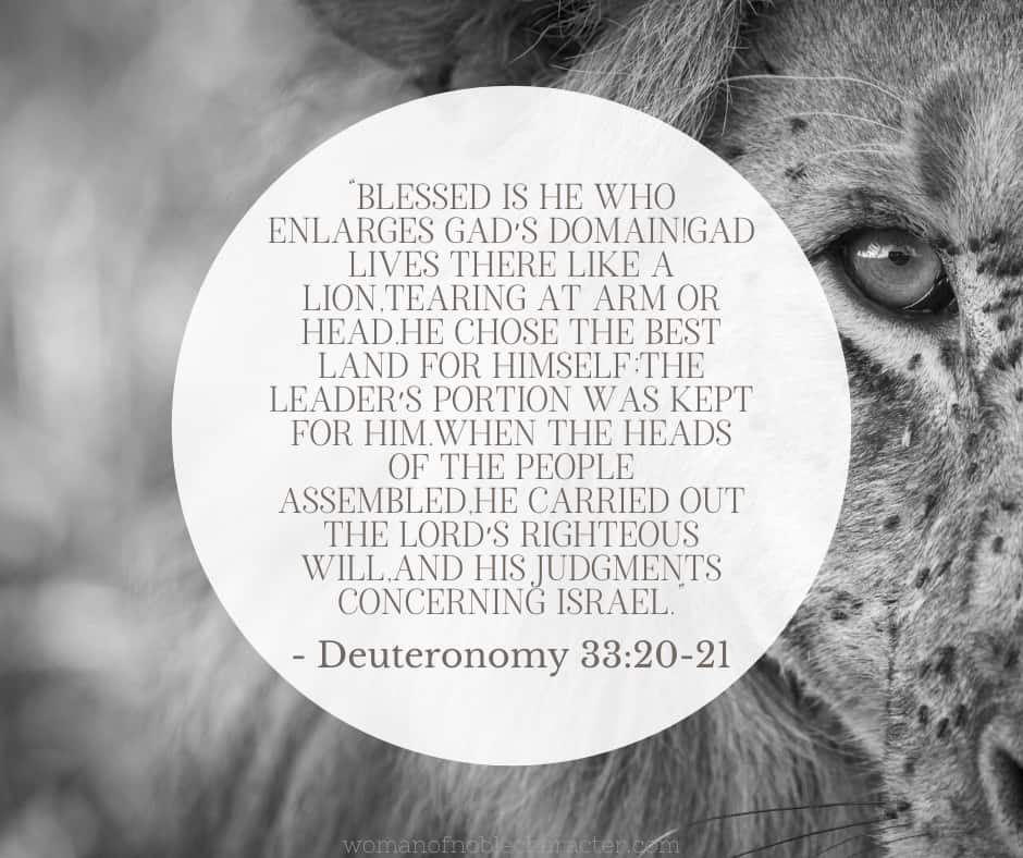 The Mighty Tribe of Gad in the Bible and What We Can Learn From Them 2 image of a tiger and the bible verse Dueteronomy 33:20-21