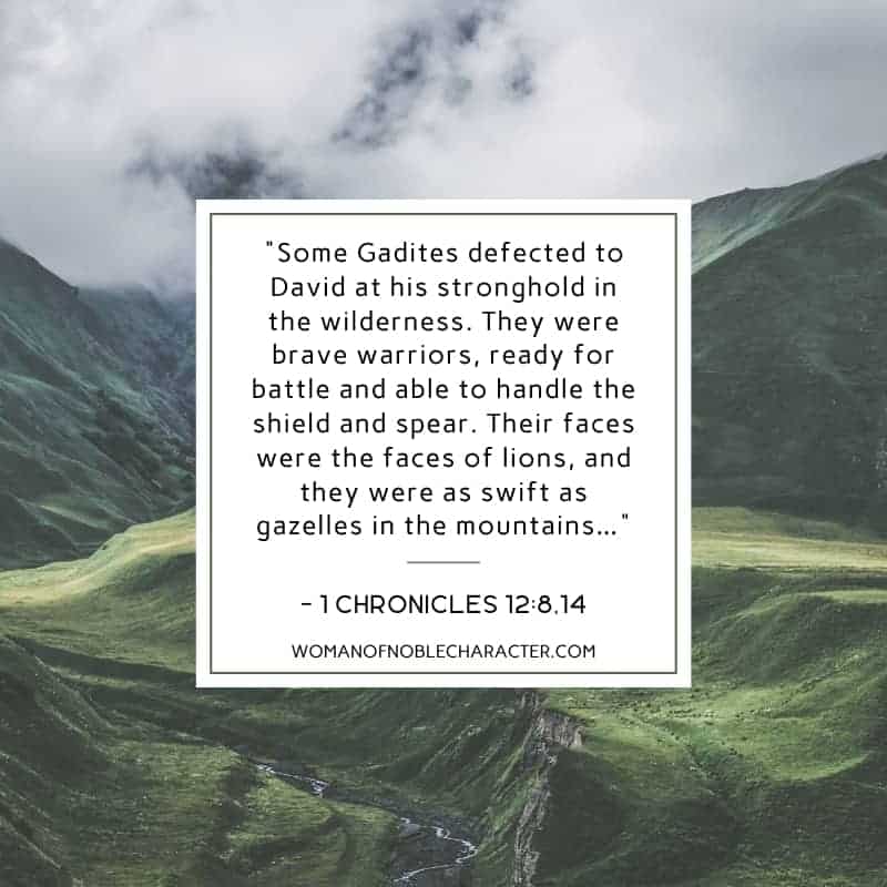 The Mighty Tribe of Gad in the Bible and What We Can Learn From Them 4 image of mountains with Bible verse 1 Chronicles 12:8,14