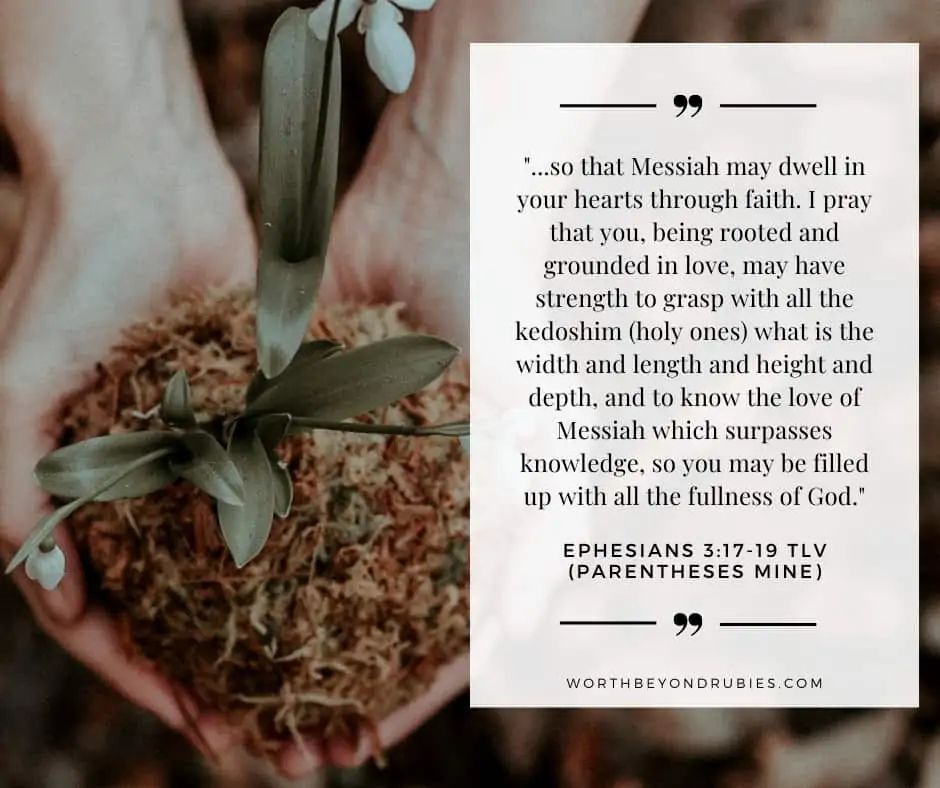 Person holding white flowers in soil in her hands and text overlay with Ephesians 3:17-19 quoted from Tree of Life Version  for post How to Get Closer to God - Becoming Rooted in Christ