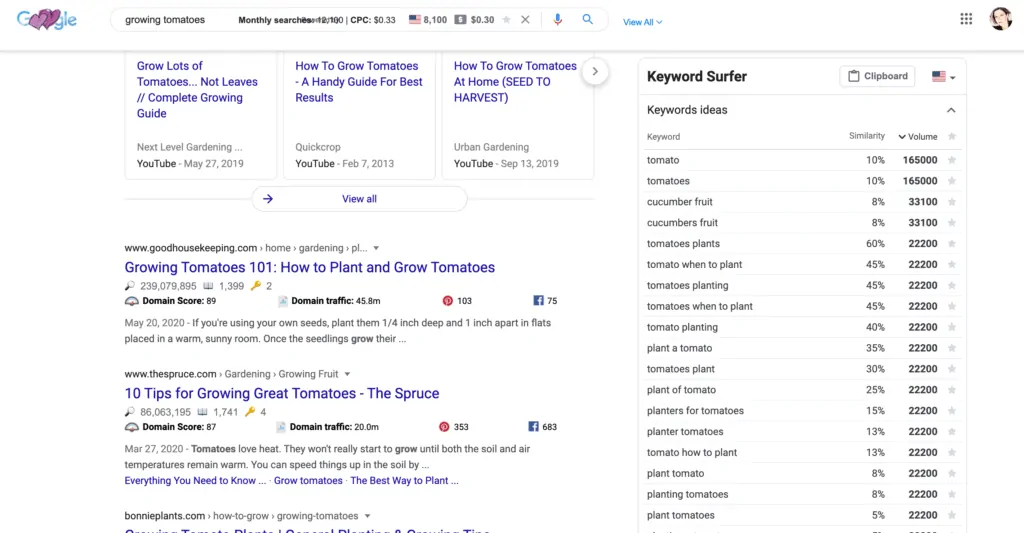 Screenshot of keyword surfer used in Google for the keyword growing tomatoes