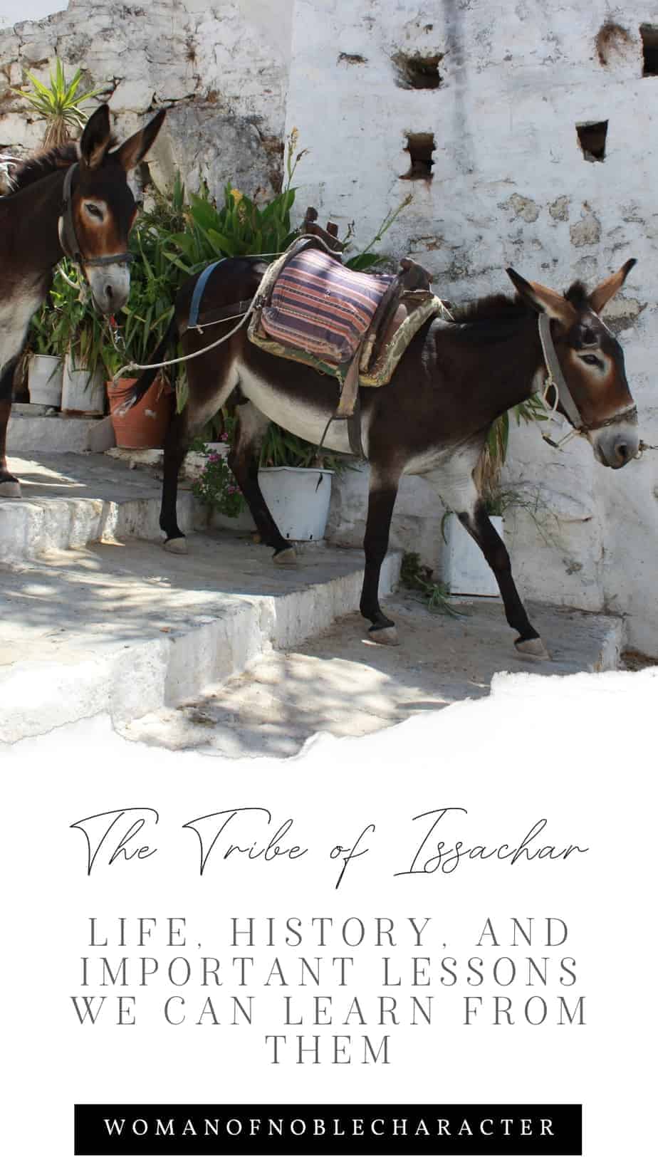 The Tribe of Issachar in the Bible 1 donkey with text that says, "The Tribe of Issachar - Life, History, and Important Lessons We Can Learn From Them"