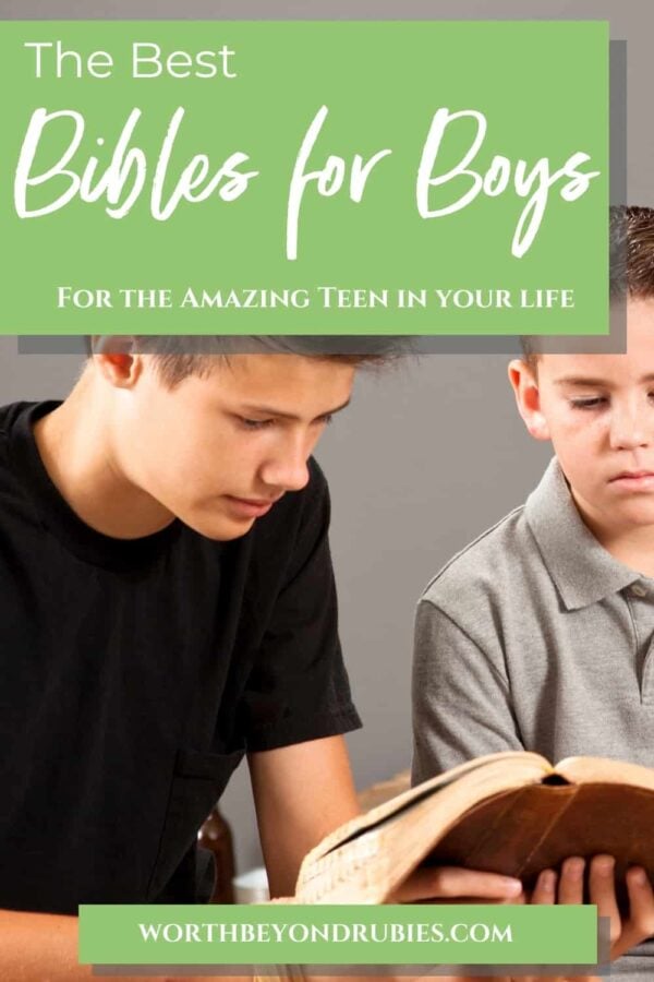Best Bibles For Boys In 2024 Bibles For Teens