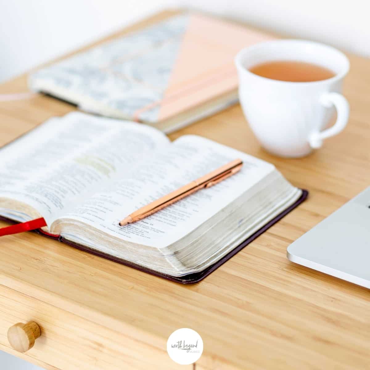 What the Enemy Meant for Evil – Paul and the Snake