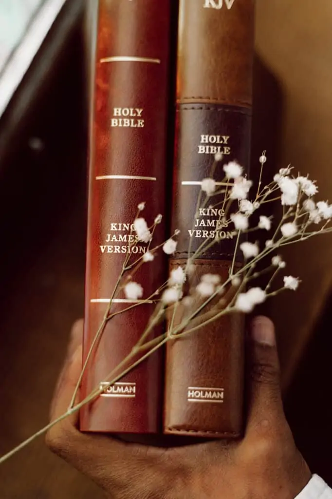 Image of Bibles for post on KJV Study Bible review