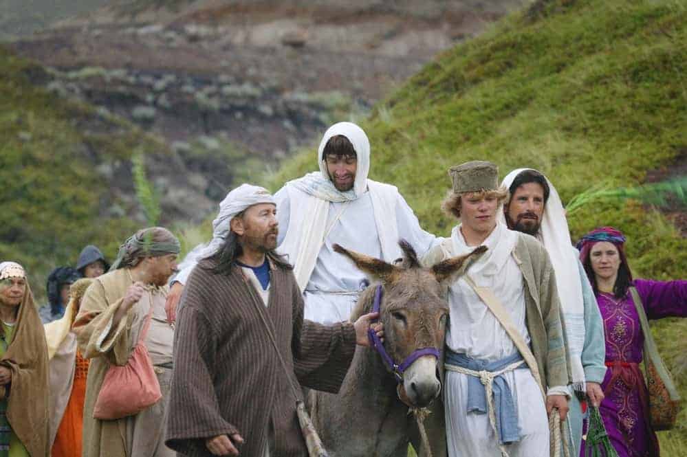 Animals in the Bible: 14 Stories of Animals in Scripture 2 Jesus riding on donkey; animals in scripture