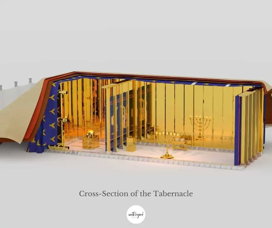 Cross Section of the Tabernacle of Moses