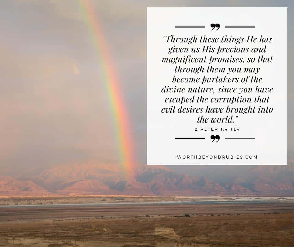 AN IMAGE OF A RAINBOW OVER THE DESERT IN ISRAEL AND 2 PETER 1:4 QUOTED IN THE TLV AND WORTHBEYONDRUBIES.COM WRITTEN