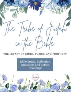 blue floral book cover