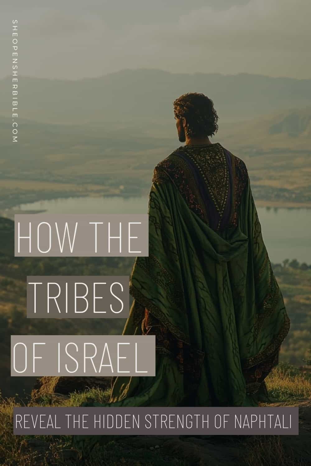 Tribe of Naphtali: History, Prophecy & the Hidden Power of the North 1 Ancient Israelite man in green and purple tribal robes standing on a mountaintop overlooking the Sea of Galilee, representing the Tribe of Naphtali; Pinterest image with text overlay: "How the Tribes of Israel Reveal the Hidden Strength of Naphtali"