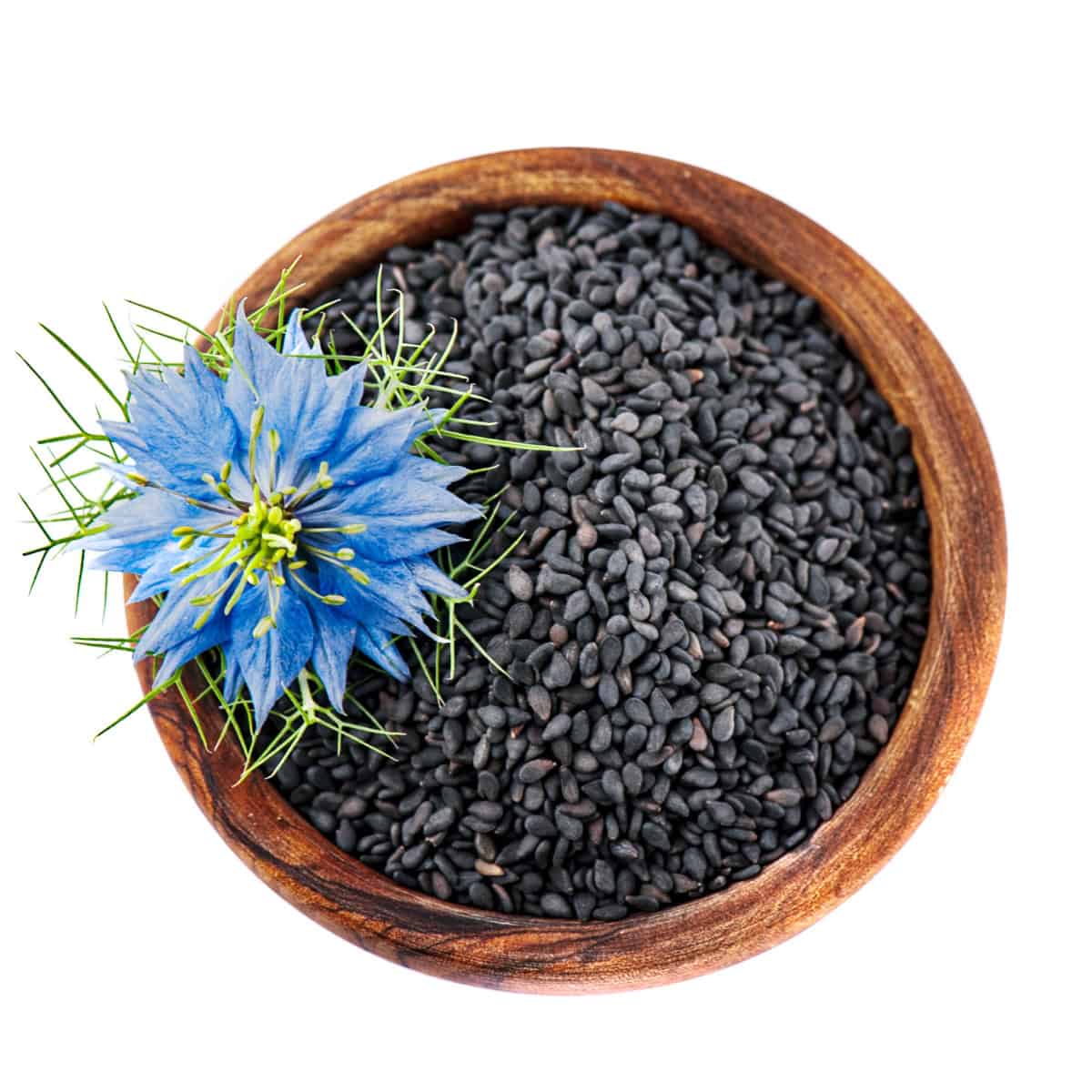 Flowers in the Bible and Their Meaning: A Beautiful Journey Through Scripture 3 a bowl of black seeds with a blue flower