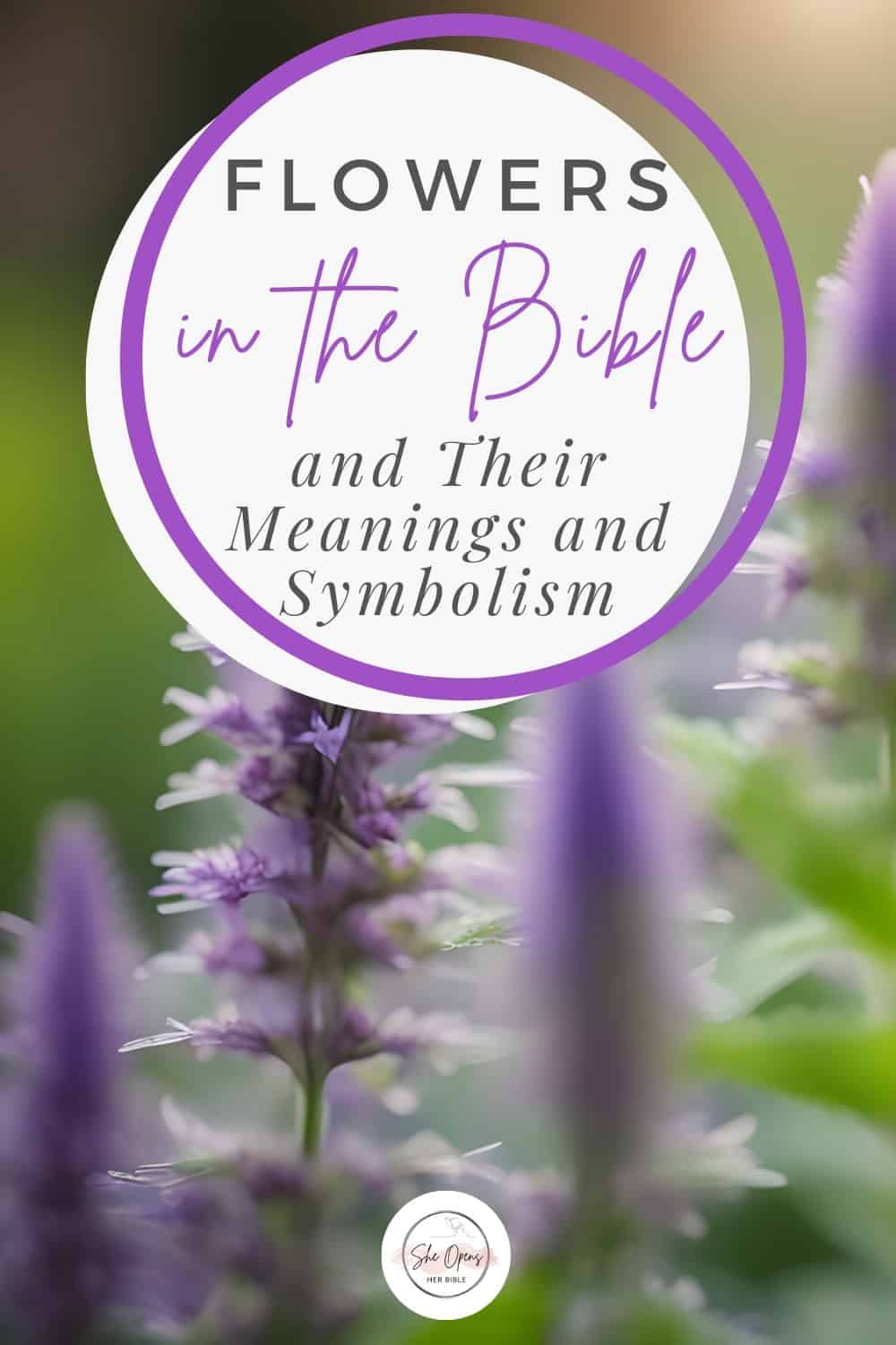 Flowers in the Bible and Their Meaning: A Beautiful Journey Through Scripture 1 Circular title graphic over a blurred field of purple flowers with the text Flowers in the Bible and Their Meanings and Symbolism, by She Opens Her Bible.
