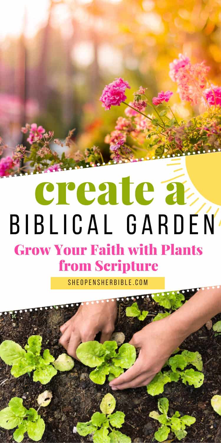 A bright and colorful garden with pink flowers and hands planting leafy greens in soil, overlaid with text that reads "Create a Biblical Garden: Grow Your Faith with Plants from Scripture" and the URL sheopensherbible.com.