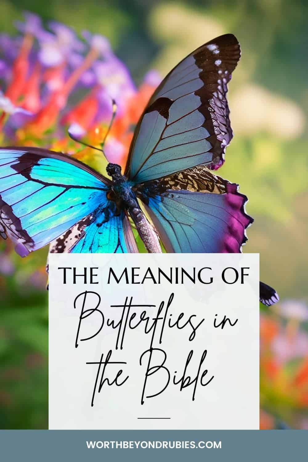 Butterflies in the Bible: A Symbol of Transformation and New Life 1 a butterfly on a flower