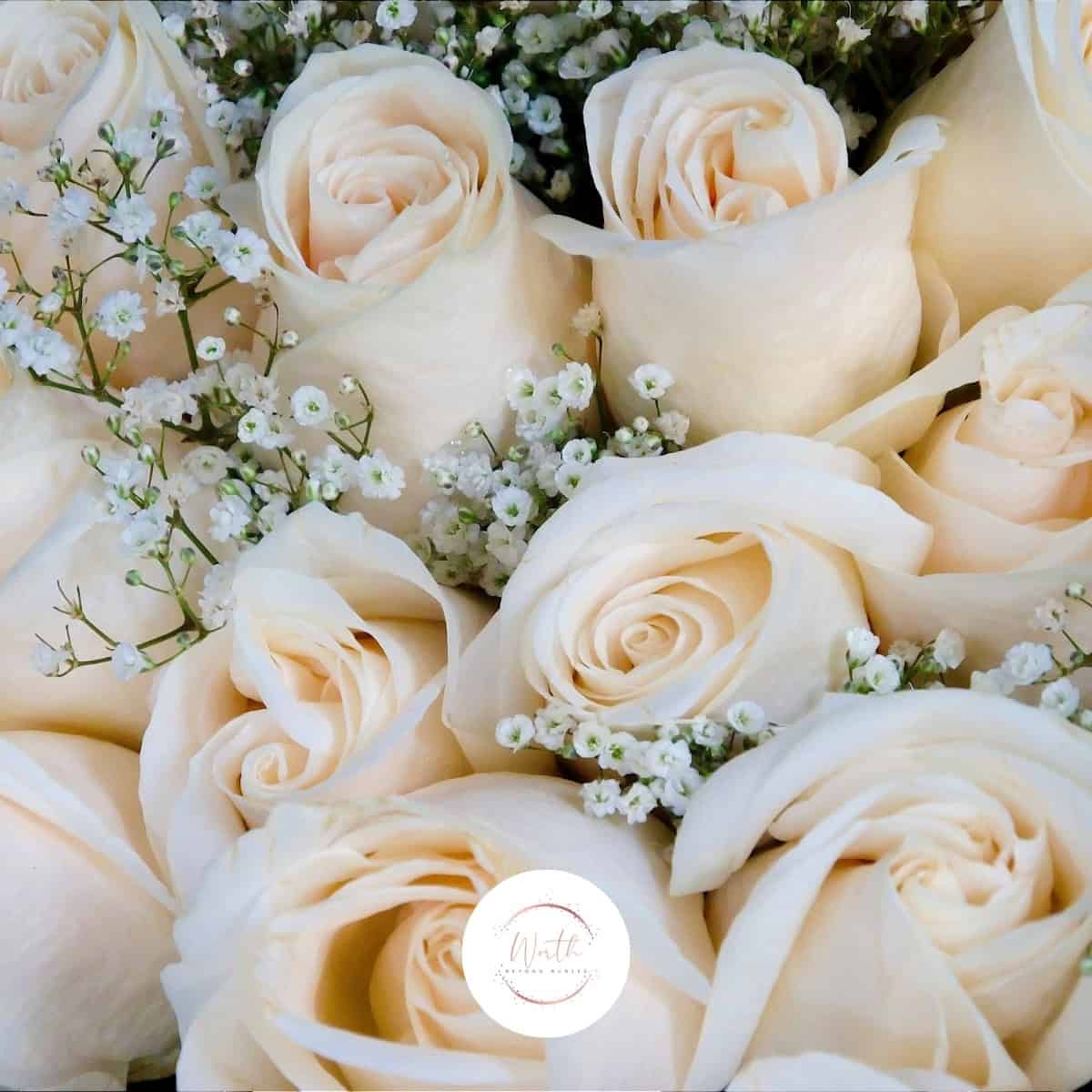 a group of white roses