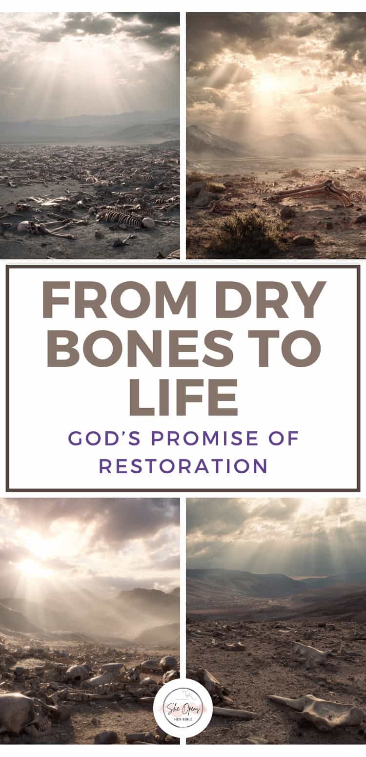 Ezekiel and the Valley of Dry Bones: Prophecy, Ruach, and Restoration 1 A barren landscape filled with skeletons illustrates "Ezekiel and the Valley of Dry Bones" for Bible study reflection.