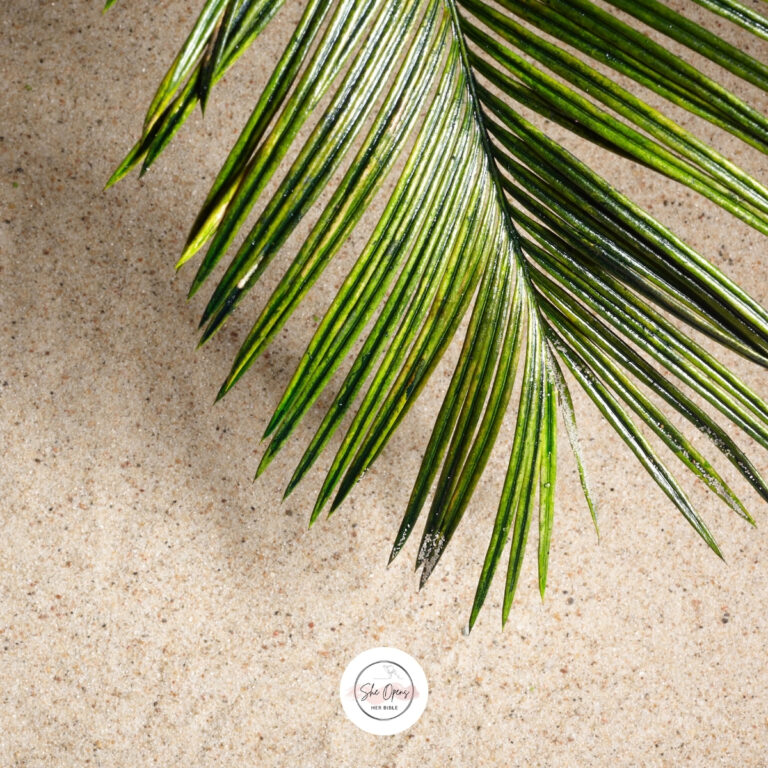 Green palm leaf on sandy surface
