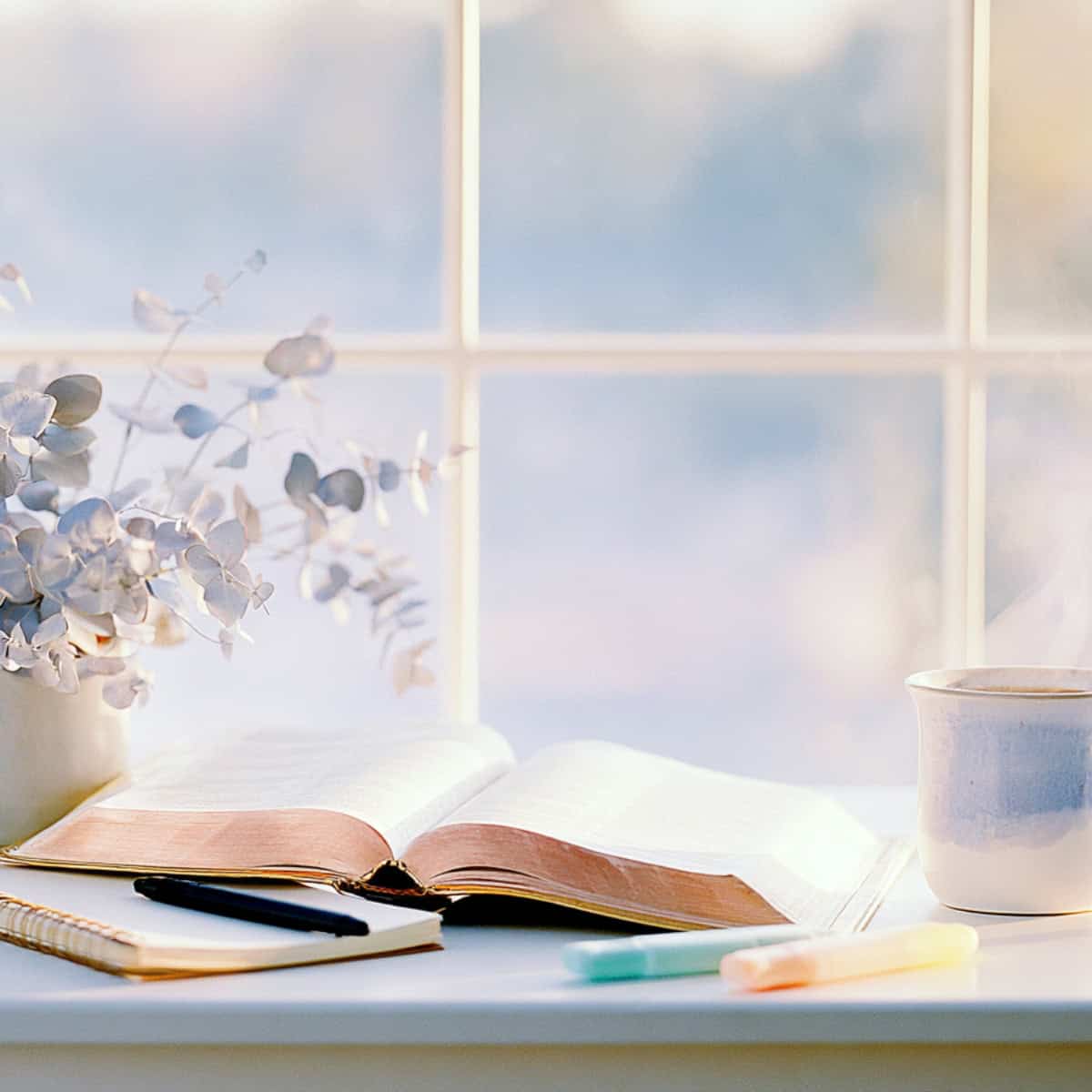Open book, plants, coffee, sunlight.